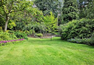 Optimiser l'expérience du jardin à Peille