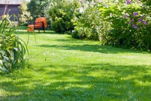 travaux jardin et paysage Peille